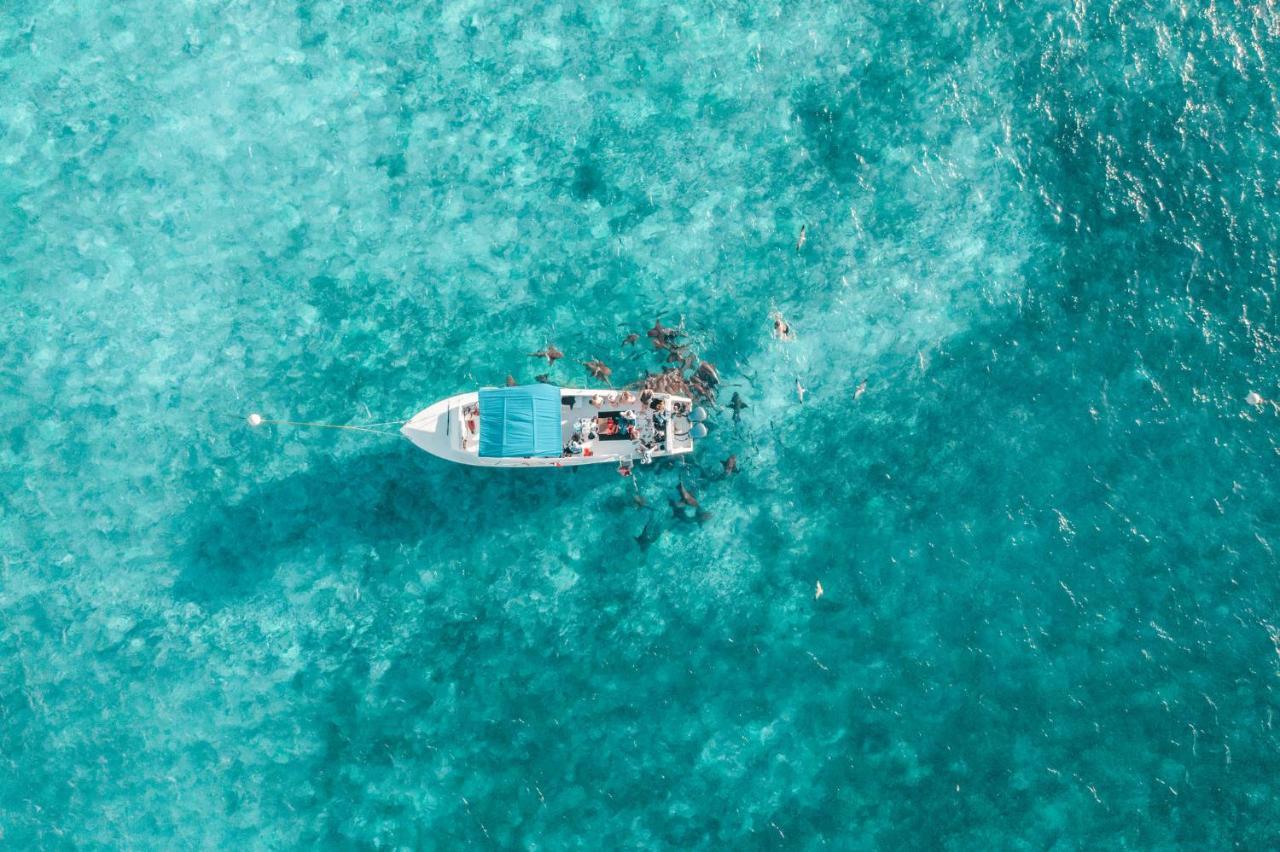 Margaritaville Beach Resort Ambergris Caye - Belize San Pedro  Dış mekan fotoğraf